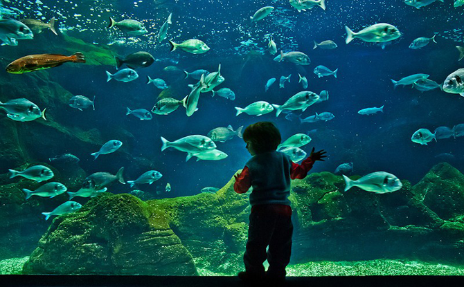  Ενυδρείο Κρήτης (Cretaquarium), Μνημεία & Αξιοθέατα, wondergreece.gr