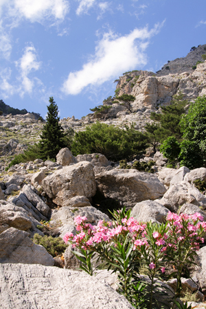  Αγίου Νικολάου (Ρούβας), Φαράγγια, wondergreece.gr