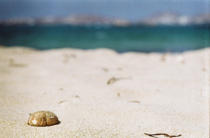  Delfini, Beaches, wondergreece.gr