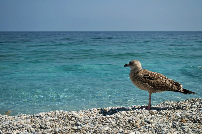  Lalaria, Beaches, wondergreece.gr