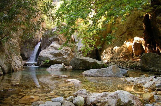  Skyritidas Forest, Forests, wondergreece.gr