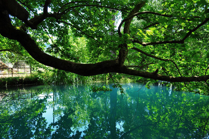  Ladonas, Rivers, wondergreece.gr