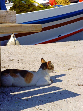  Άγιος Γεώργιος, Πόλεις & Χωριά, wondergreece.gr