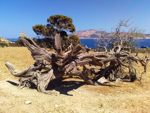  Kato Koufonisi , Main cities & villages, wondergreece.gr