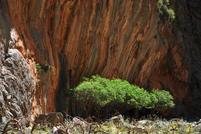  Aradena Gorge, Gorges, wondergreece.gr