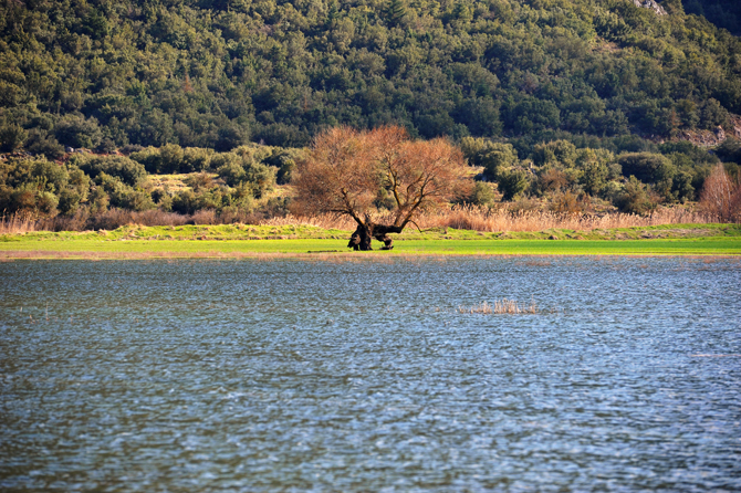  Στυμφαλία, Λίμνες, wondergreece.gr