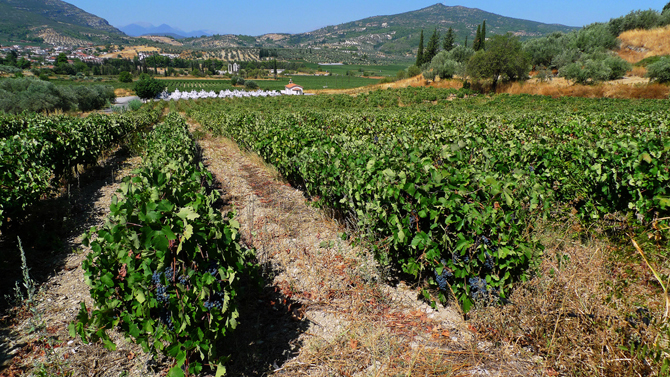  Nemea, Main cities & villages, wondergreece.gr