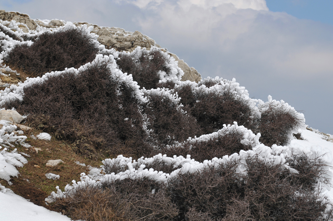  Oligyrtos, Mountains, wondergreece.gr