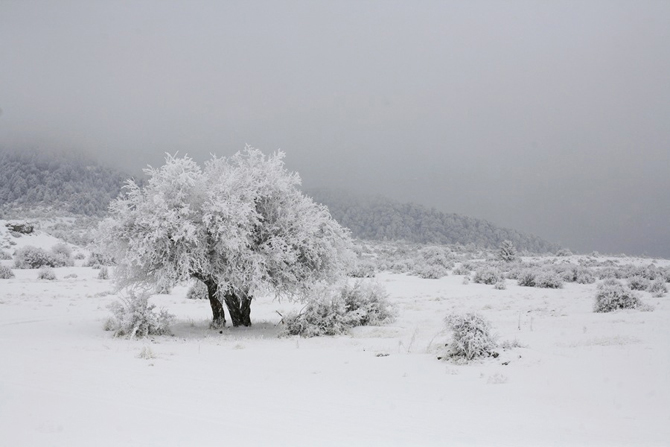  Kyllini (Zireia), Mountains, wondergreece.gr