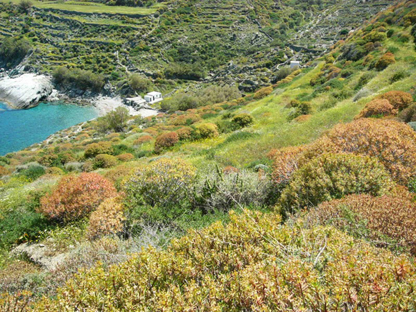  Serfiotiko, Beaches, wondergreece.gr