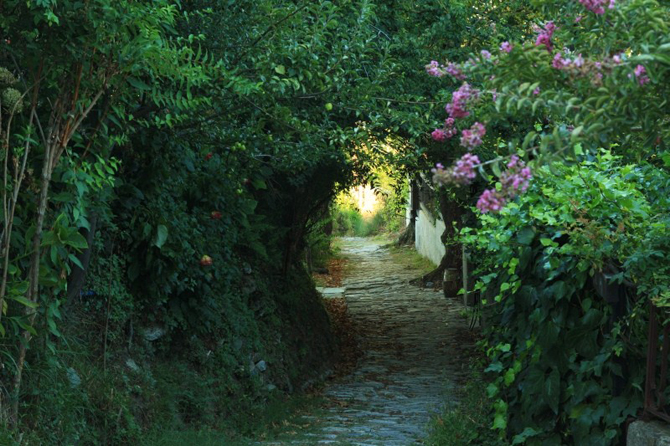  Μηλιές, Πόλεις & Χωριά, wondergreece.gr