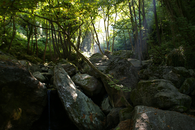  Pelion, Mountains, wondergreece.gr