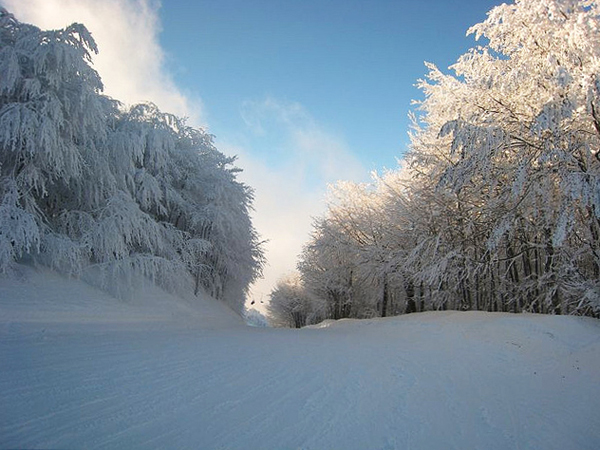  Pelion, Mountains, wondergreece.gr