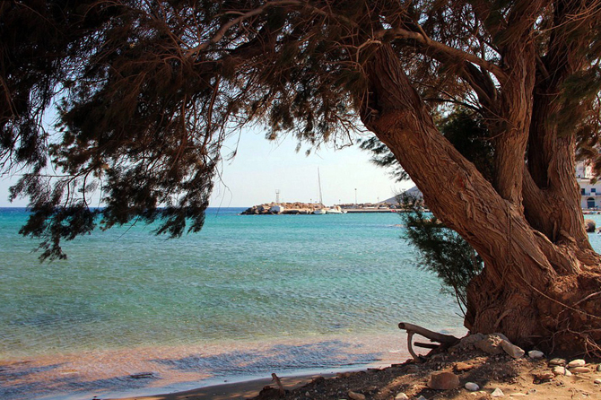  Αλοπρόνοια, Πόλεις & Χωριά, wondergreece.gr