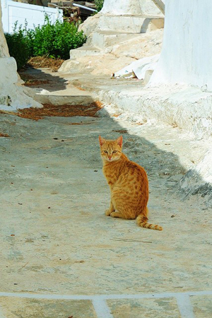  Κάστρο & Χωριό, Πόλεις & Χωριά, wondergreece.gr