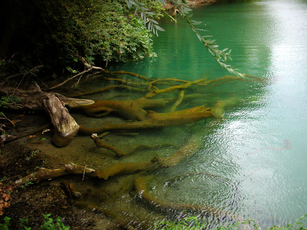  Pineios River, Rivers, wondergreece.gr