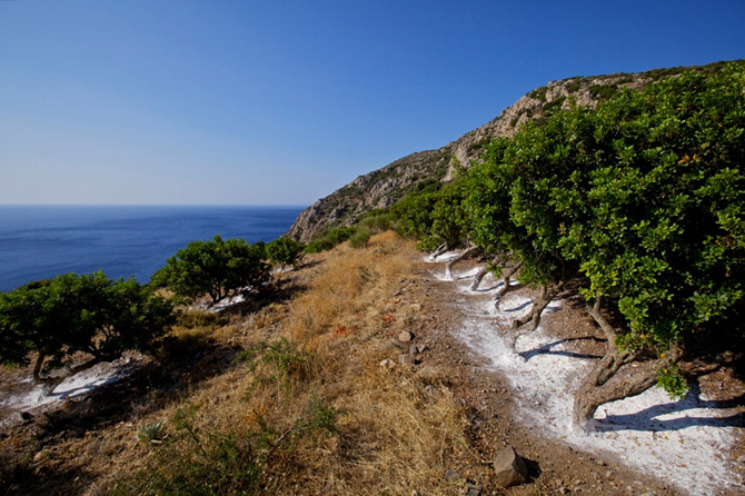  Τοπικά προϊόντα, Τοπικά Προϊόντα, wondergreece.gr