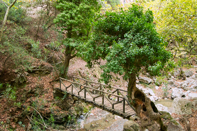  Patsos Gorge in Amari, Gorges, wondergreece.gr