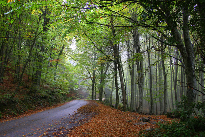  Ossa (Kissavos), Mountains, wondergreece.gr