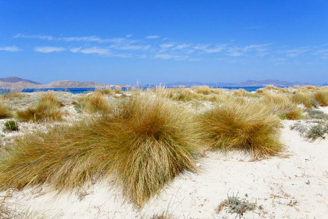  Τιγκάκι, Πόλεις & Χωριά, wondergreece.gr