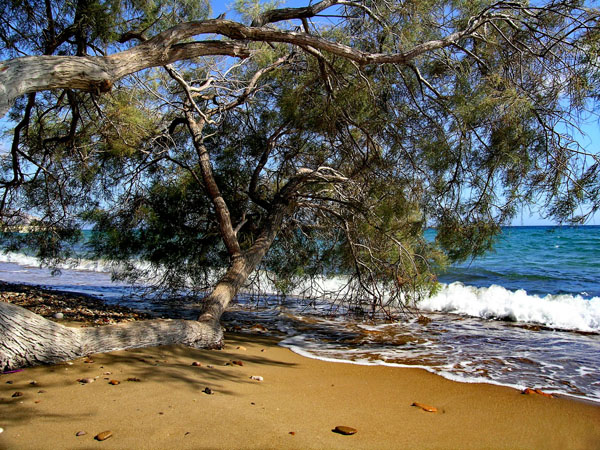  Aliki, Beaches, wondergreece.gr