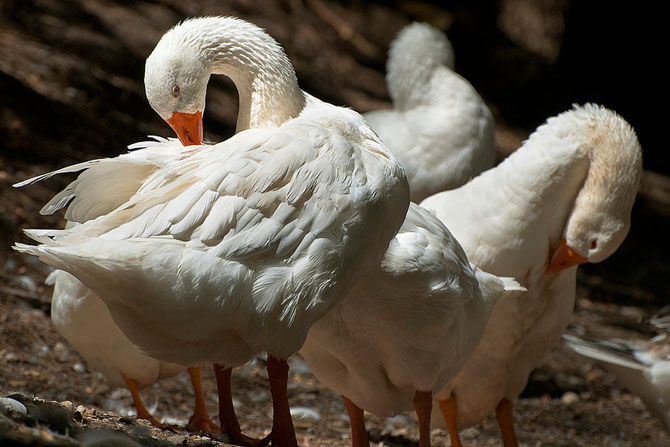  The Seven Springs, Monuments & sights, wondergreece.gr