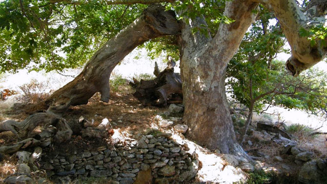  Βουνά Ψαρών, Βουνά, wondergreece.gr