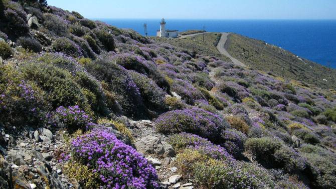  Βουνά Ψαρών, Βουνά, wondergreece.gr