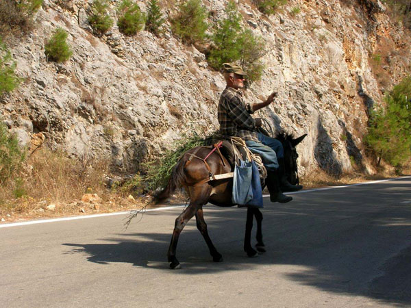  Karya, Main cities & villages, wondergreece.gr