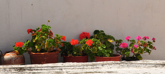  Chora (Skyros), Main cities & villages, wondergreece.gr