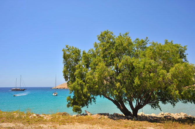  Ημπορείο (Χάλκη), Πόλεις & Χωριά, wondergreece.gr