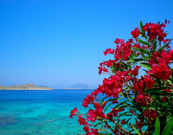  Όρμος Αγίας Θέκλας, Παραλίες, wondergreece.gr