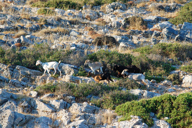  Agios Georgios, Main cities & villages, wondergreece.gr