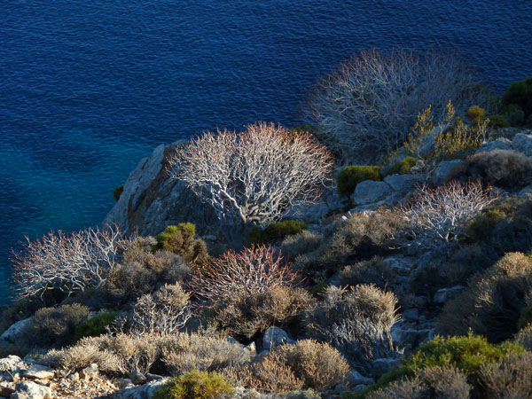  Λιβάδια, Πόλεις & Χωριά, wondergreece.gr