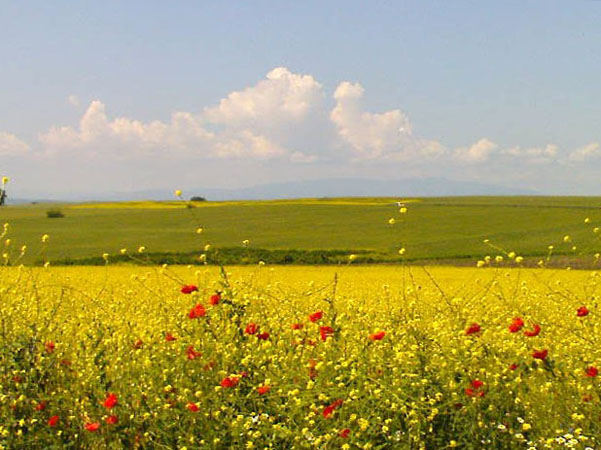  Ορεστιάδα, Πόλεις & Χωριά, wondergreece.gr