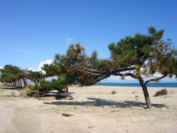  Παραλία Ερασμίου, Παραλίες, wondergreece.gr