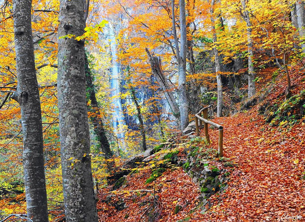  Livaditis Waterfall, Waterfalls, wondergreece.gr