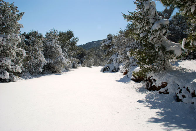  Υμηττός, Βουνά, wondergreece.gr