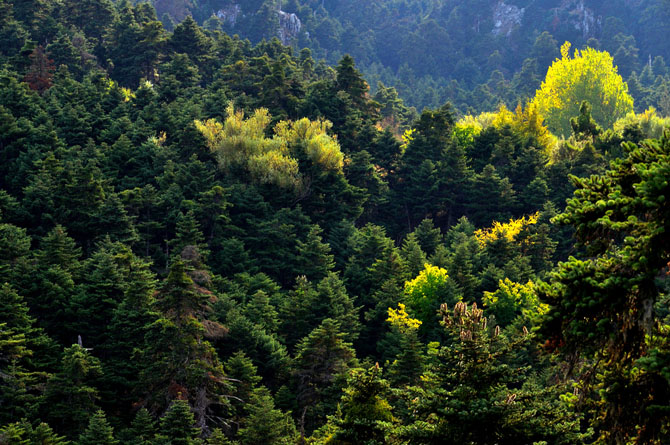  Parnitha, Mountains, wondergreece.gr