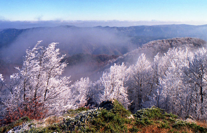  Grammos, Mountains, wondergreece.gr