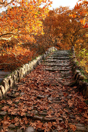  Klidonia Stone Βridge (Voidomatis river), Monuments & sights, wondergreece.gr