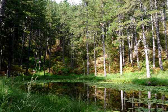  Lake with Waterlilies, Lakes, wondergreece.gr