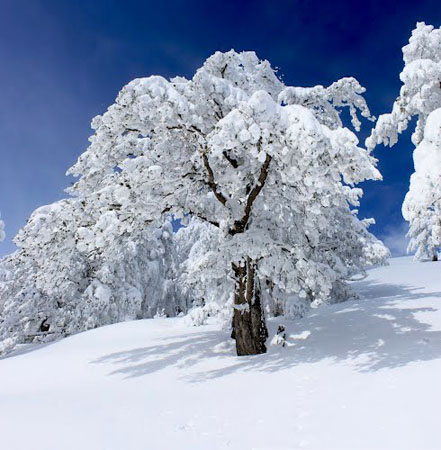  Metsovo, Main cities & villages, wondergreece.gr