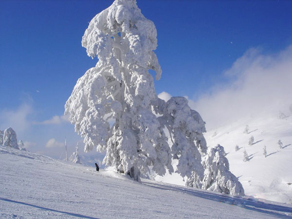  Χιονοδρομικό κέντρο Βασιλίτσας, Ski - Snowboard, wondergreece.gr