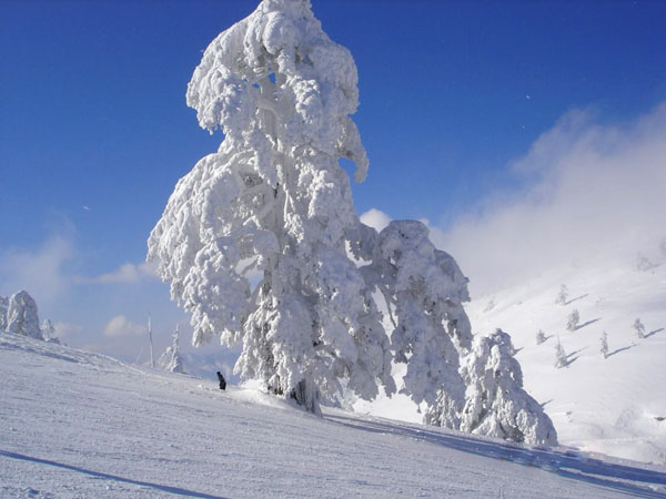  Vassilitsa, Mountains, wondergreece.gr