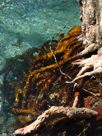  Voidomatis, Rivers, wondergreece.gr