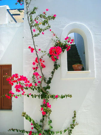  Antiparos, Main cities & villages, wondergreece.gr