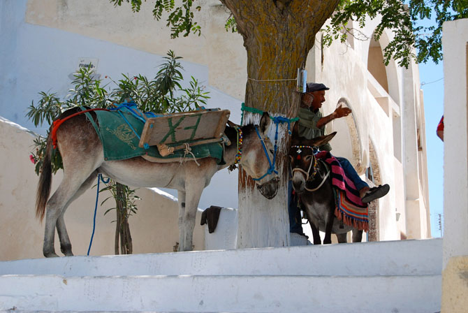  Pyrgos, Main cities & villages, wondergreece.gr