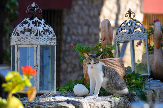  Afytos, Main cities & villages, wondergreece.gr