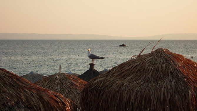  Alikes - Ammouliani, Beaches, wondergreece.gr